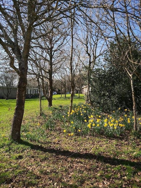 Caldon Sleeps 4 In Wifi Electric Inc Pet Friendly Apartment